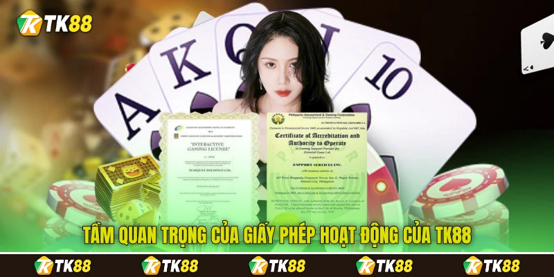 Tầm quan trọng của giấy phép hoạt động của TK88 Tầm quan trọng của giấy phép hoạt động của TK88